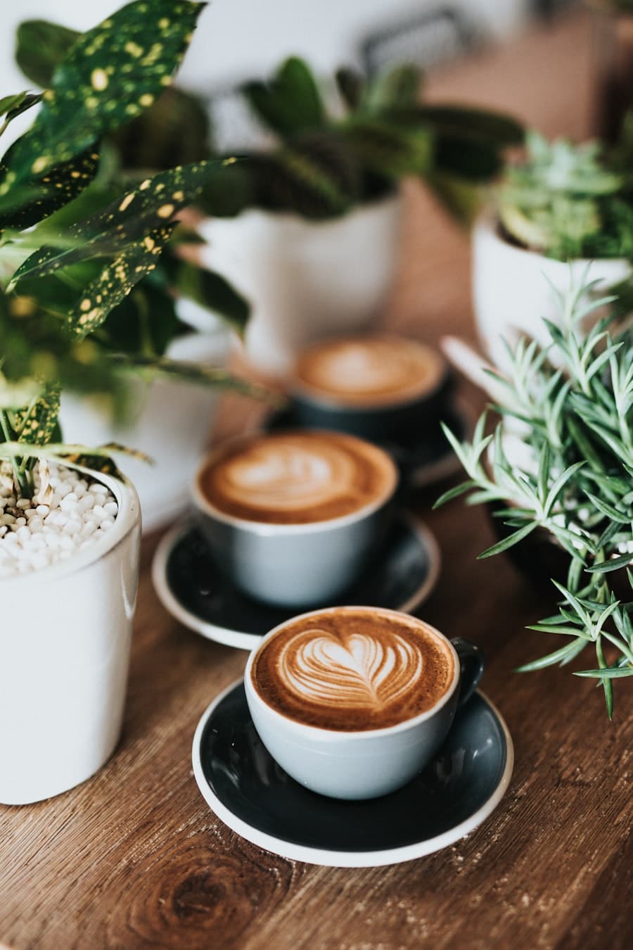 Two cups of coffee with latte art on a wooden table beside green plants